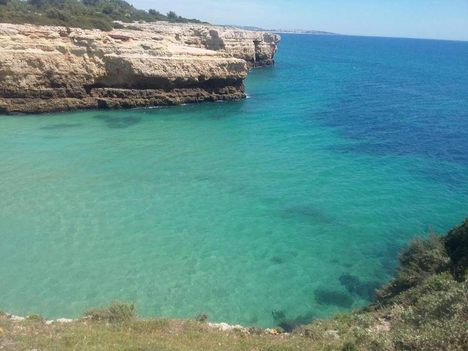 Al Algarve - Alojamento Local Com Excelente Localizacao Carvoeiro  Exterior photo